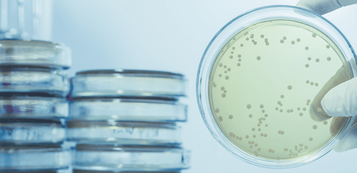 What is Legionnaires' disease - Legionella bacteria What is Legionnaires' disease - Legionella bacteria