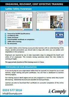 Ladder Safety Course Flyer