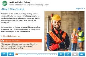 Health and Safety for Employees example 1