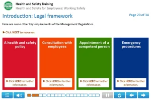 Health and Safety for Employees example 3