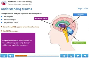 Trauna-informed care training example 2
