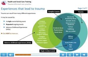 Trauna-informed care training example 3