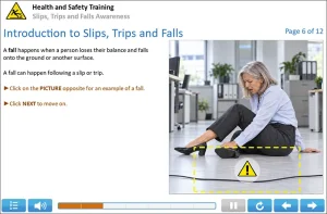 Online Slips Trips Falls Training Example